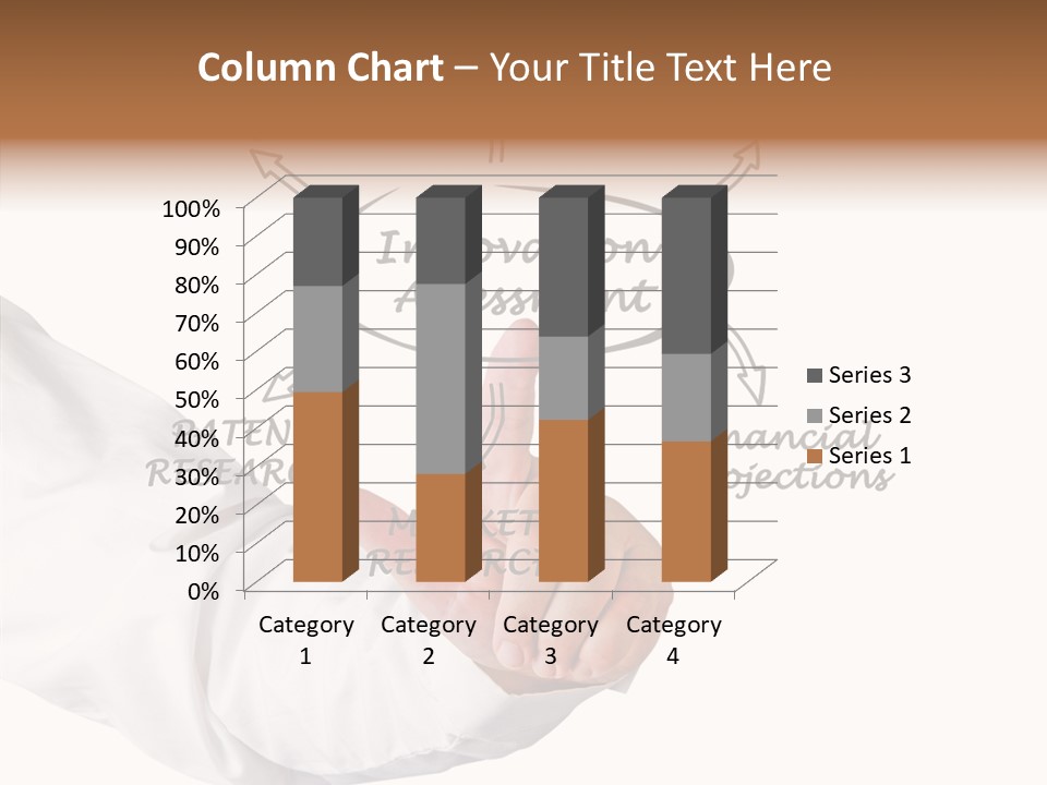 Model Risk Project PowerPoint Template