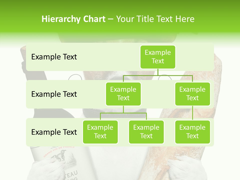 Dinner Drink Dog PowerPoint Template