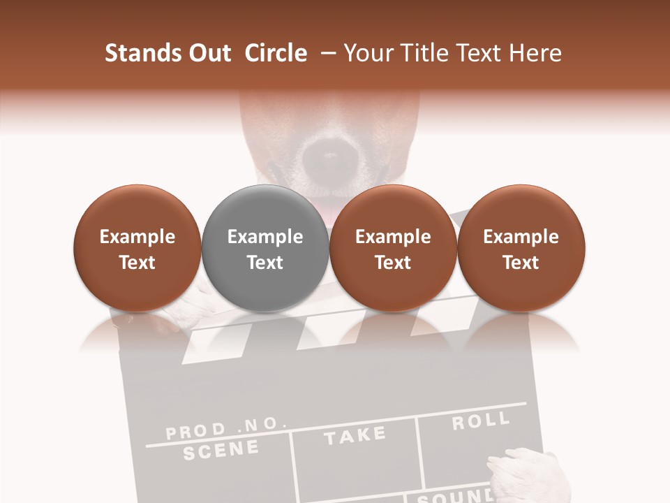 Film Producer Glasses PowerPoint Template