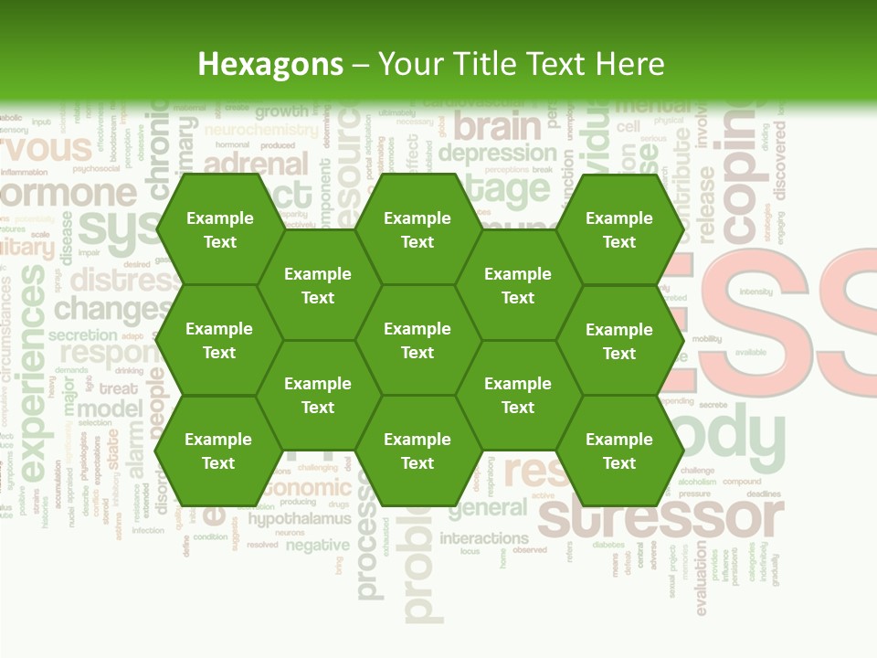 Webpage Management Realization PowerPoint Template