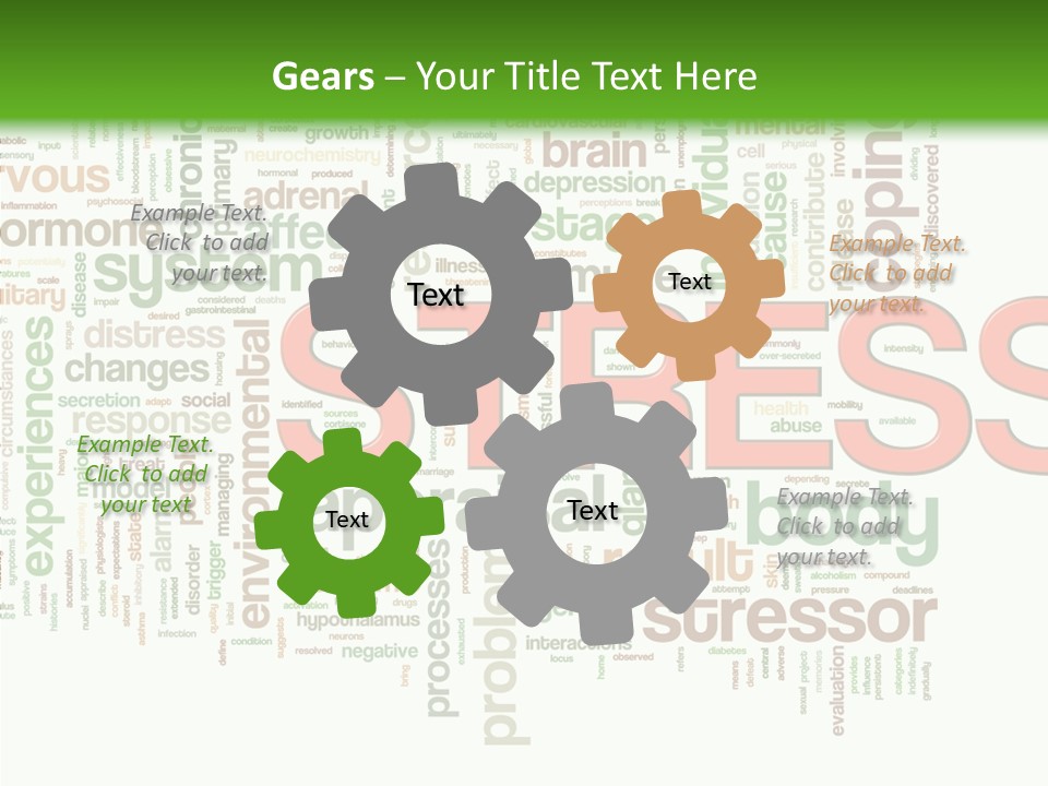 Webpage Management Realization PowerPoint Template