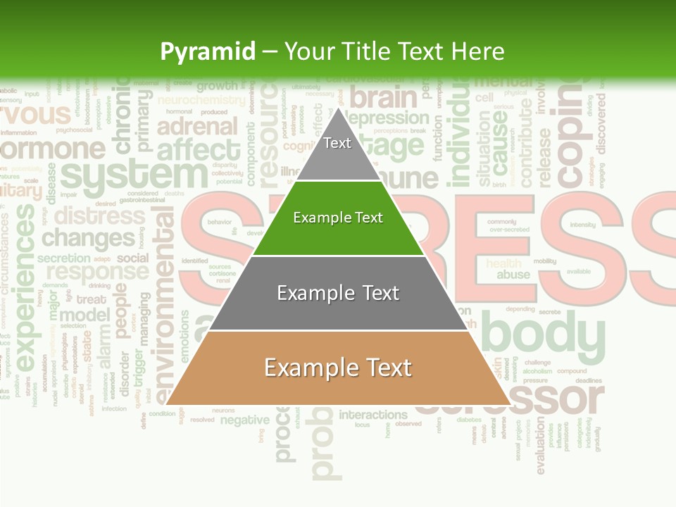 Webpage Management Realization PowerPoint Template