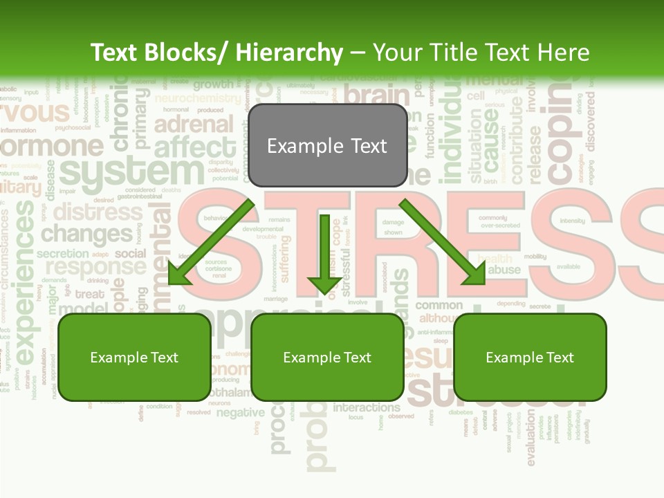 Webpage Management Realization PowerPoint Template