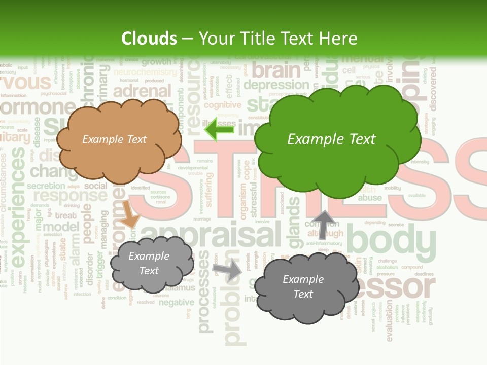Webpage Management Realization PowerPoint Template
