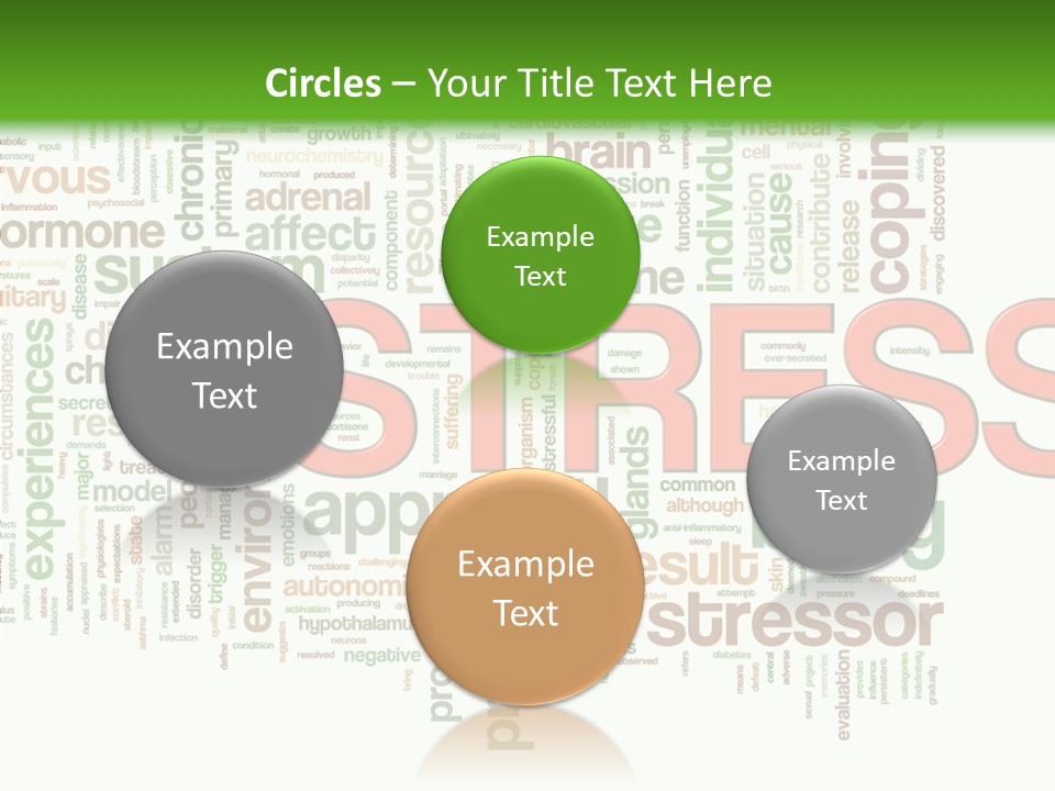 Webpage Management Realization PowerPoint Template