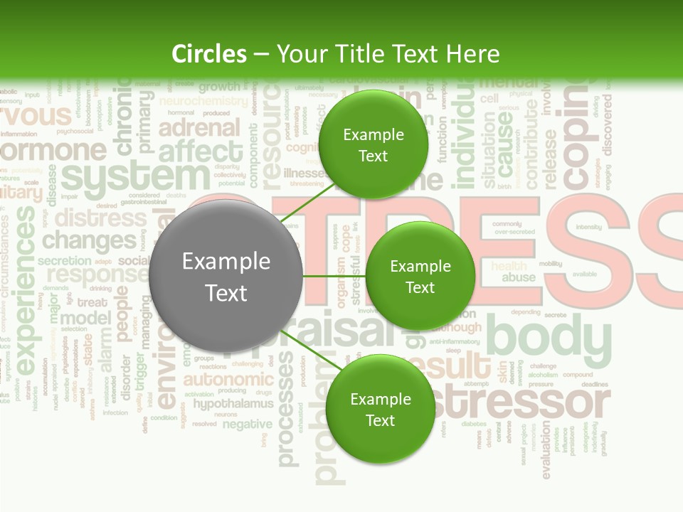 Webpage Management Realization PowerPoint Template