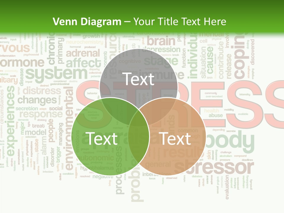 Webpage Management Realization PowerPoint Template