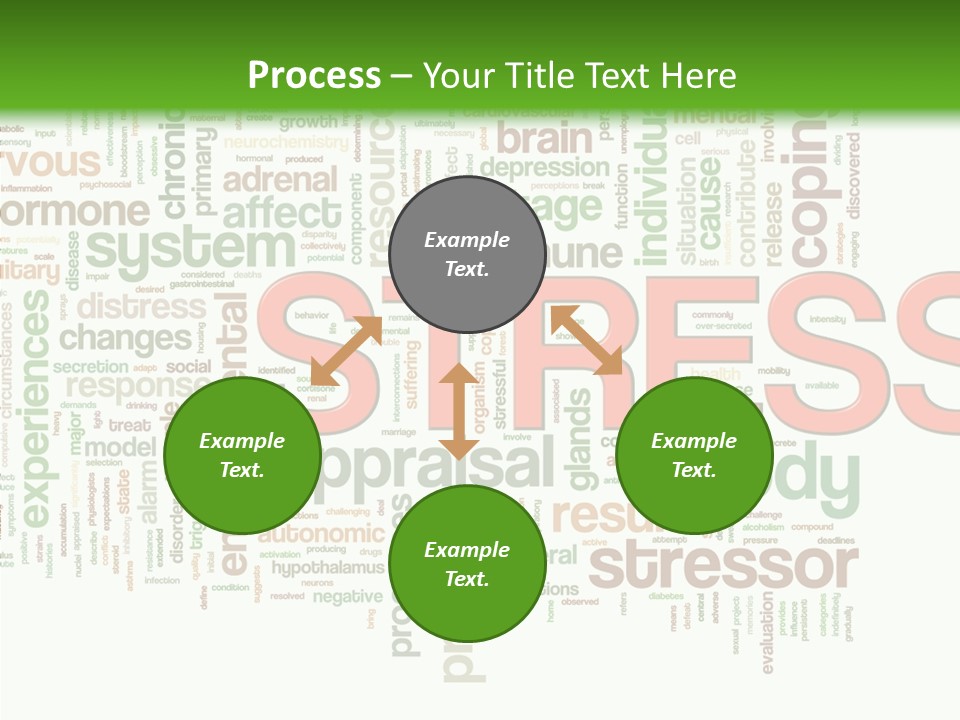 Webpage Management Realization PowerPoint Template
