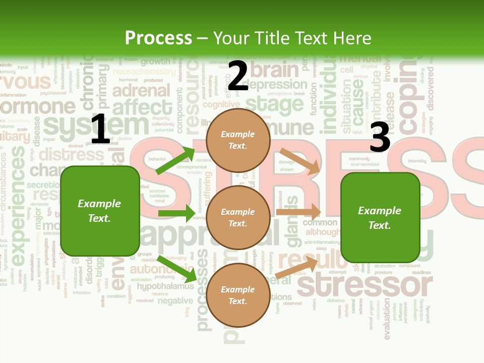 Webpage Management Realization PowerPoint Template