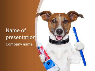 Gel Bleach Funny PowerPoint Template