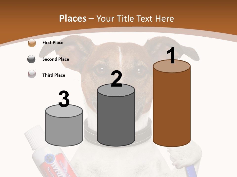 Gel Bleach Funny PowerPoint Template