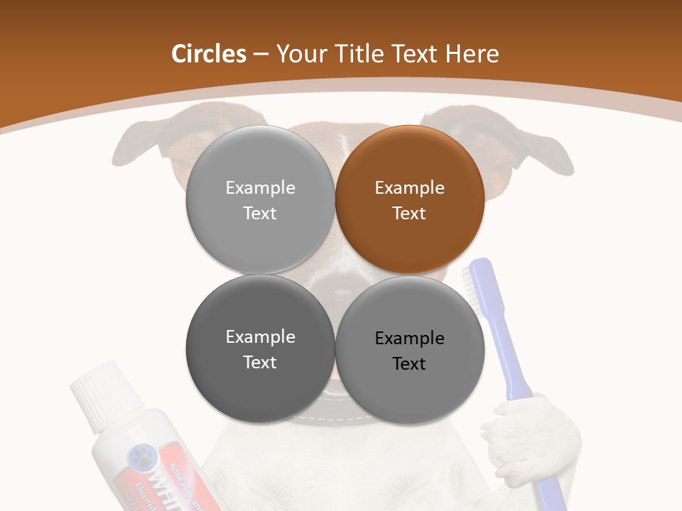 Gel Bleach Funny PowerPoint Template