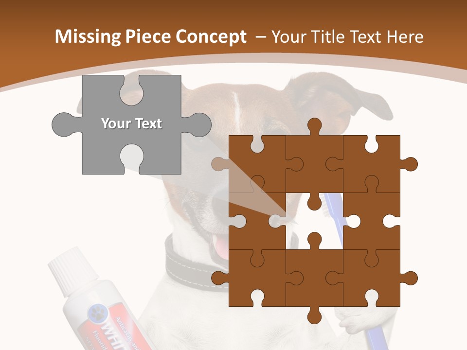 Gel Bleach Funny PowerPoint Template