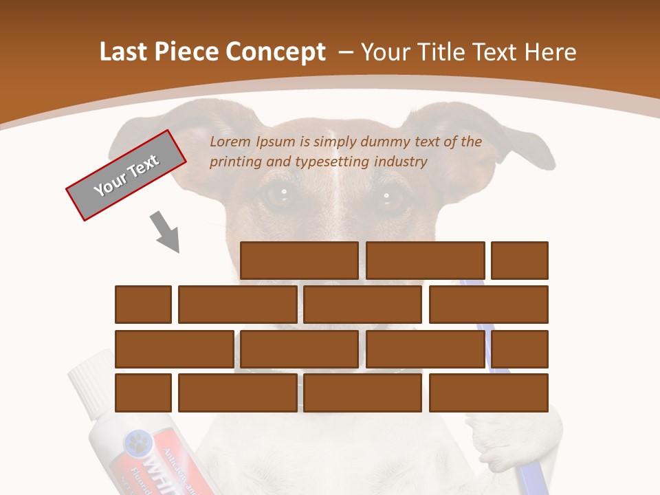Gel Bleach Funny PowerPoint Template