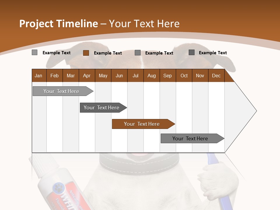 Gel Bleach Funny PowerPoint Template