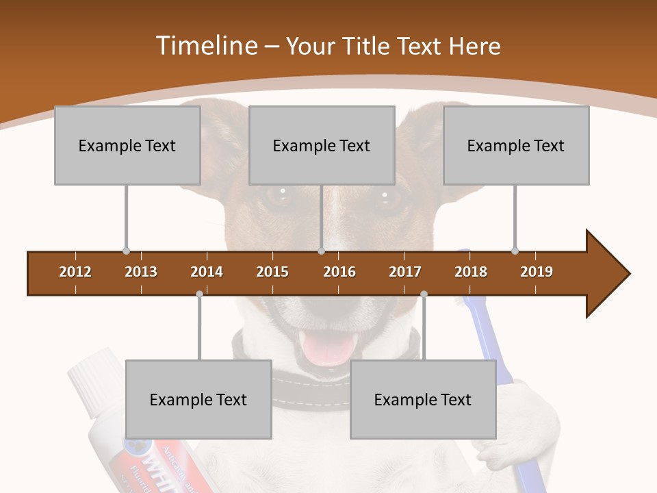 Gel Bleach Funny PowerPoint Template