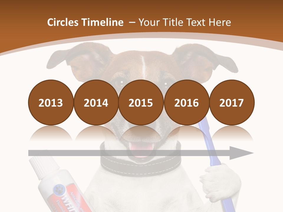 Gel Bleach Funny PowerPoint Template