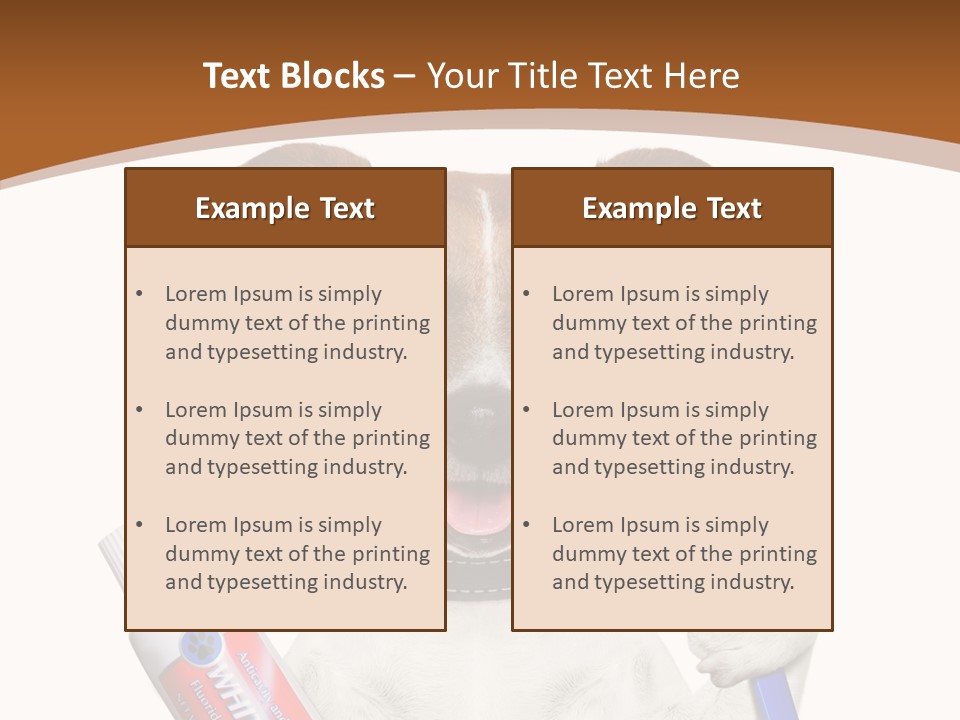 Gel Bleach Funny PowerPoint Template