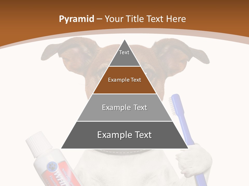 Gel Bleach Funny PowerPoint Template