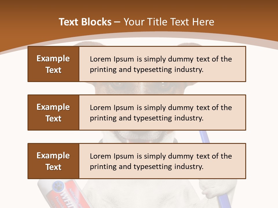 Gel Bleach Funny PowerPoint Template