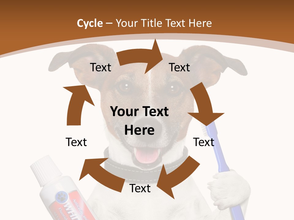 Gel Bleach Funny PowerPoint Template