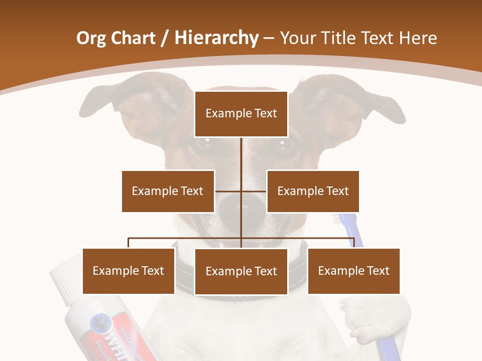 Gel Bleach Funny PowerPoint Template