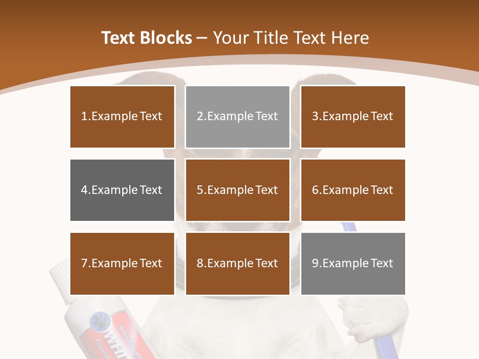 Gel Bleach Funny PowerPoint Template