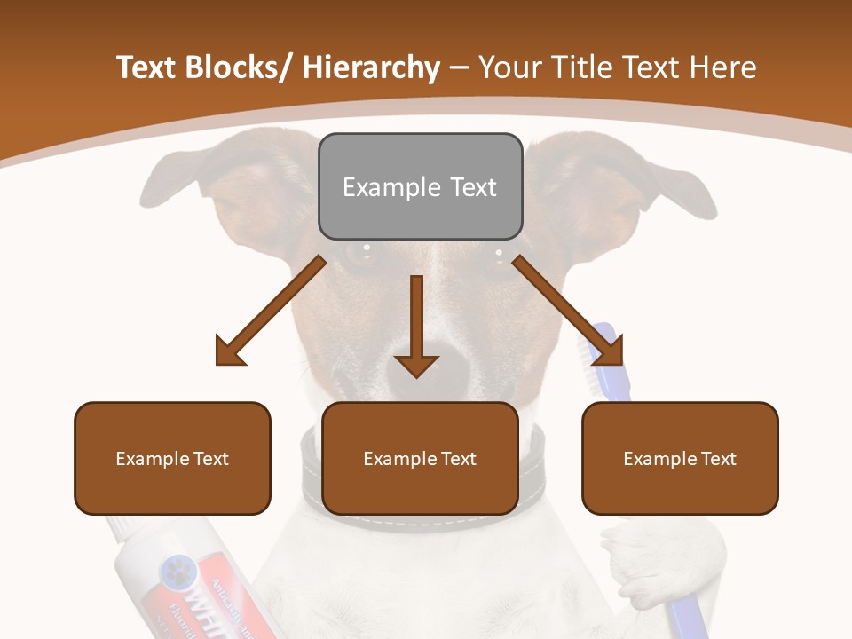 Gel Bleach Funny PowerPoint Template