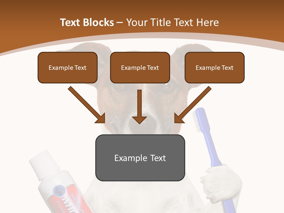 Gel Bleach Funny PowerPoint Template