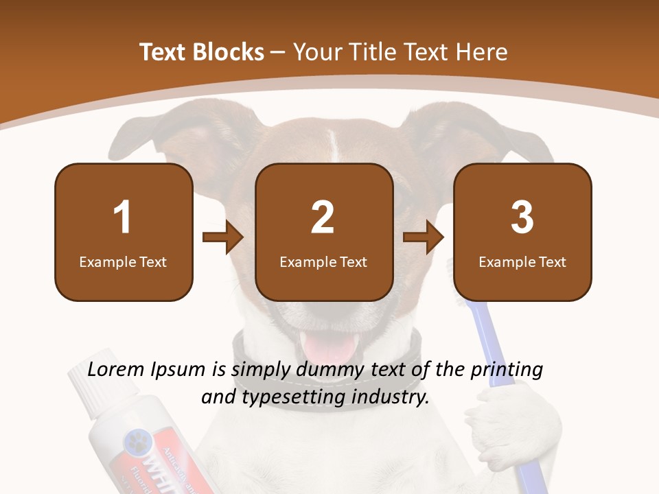 Gel Bleach Funny PowerPoint Template