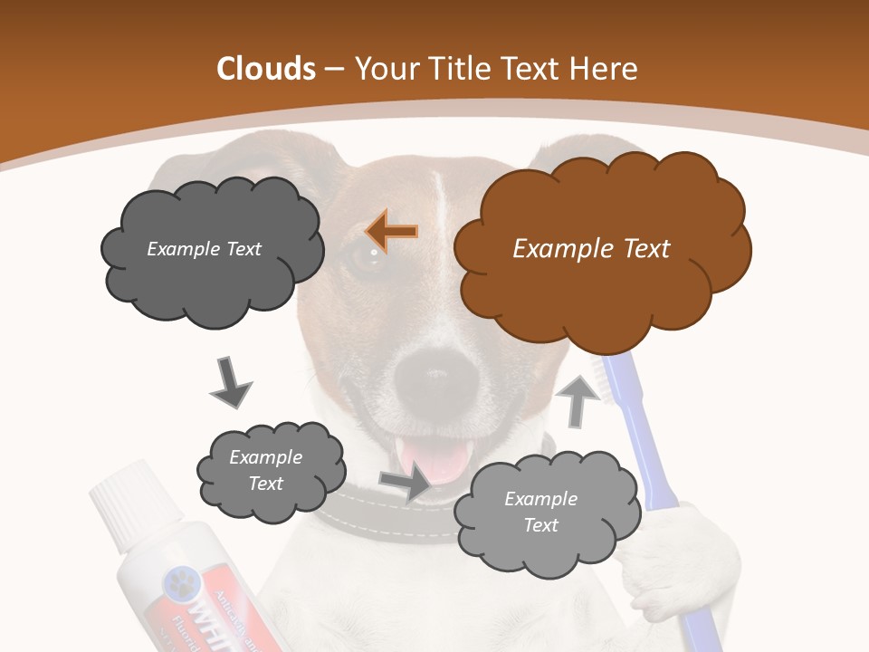 Gel Bleach Funny PowerPoint Template