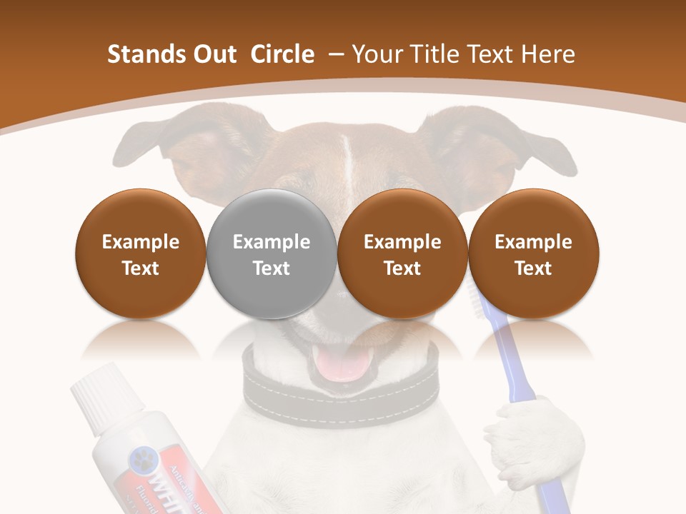 Gel Bleach Funny PowerPoint Template