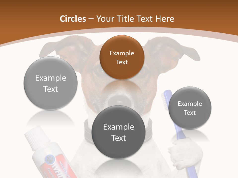 Gel Bleach Funny PowerPoint Template