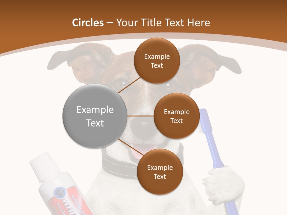 Gel Bleach Funny PowerPoint Template