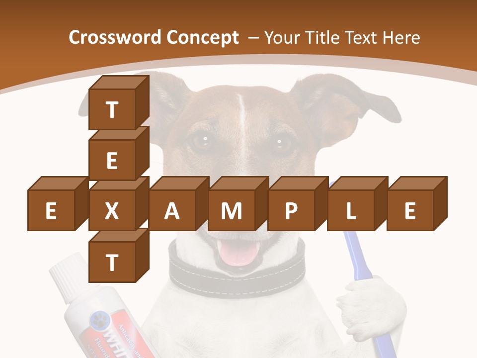 Gel Bleach Funny PowerPoint Template