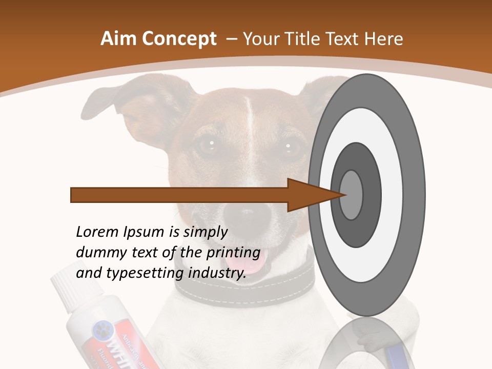 Gel Bleach Funny PowerPoint Template