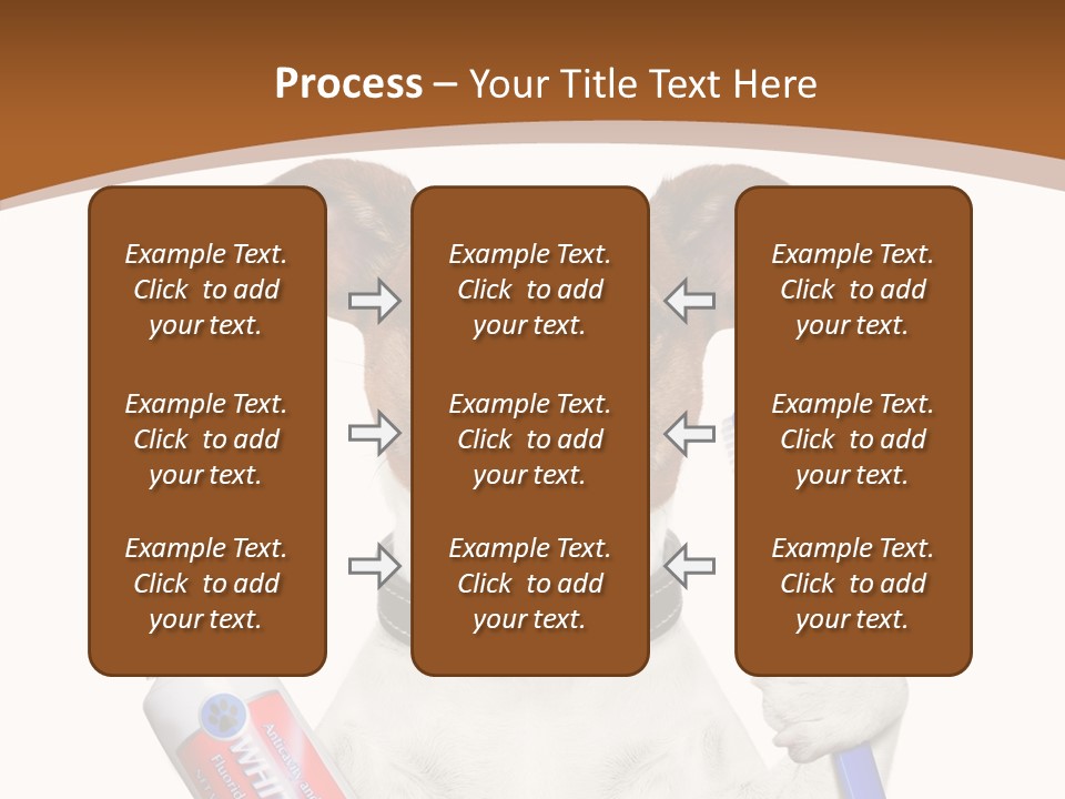 Gel Bleach Funny PowerPoint Template