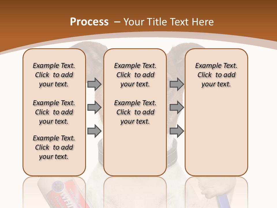 Gel Bleach Funny PowerPoint Template