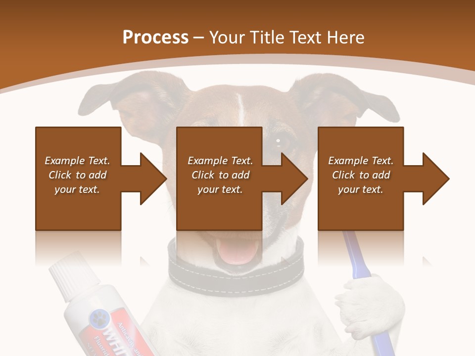 Gel Bleach Funny PowerPoint Template