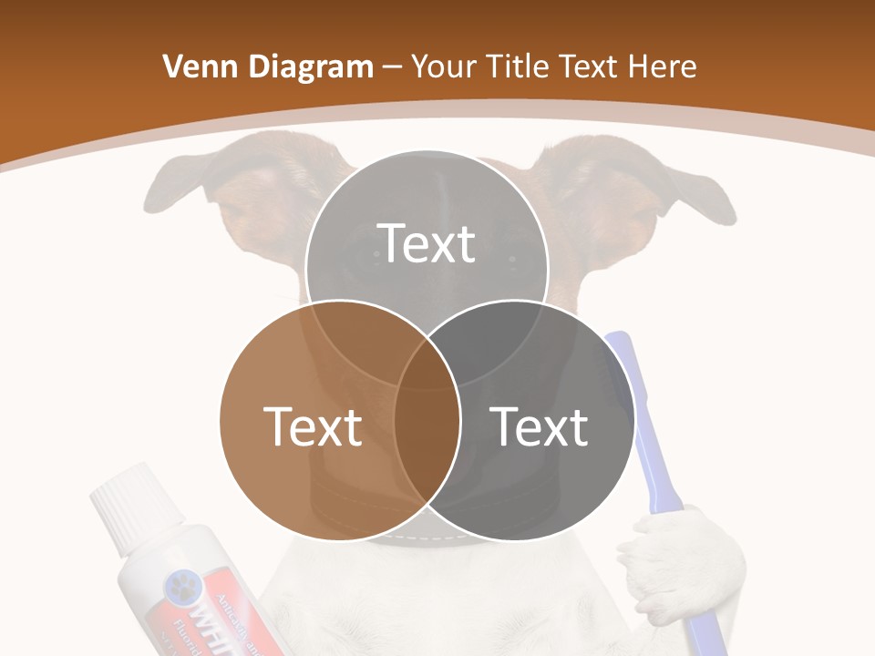 Gel Bleach Funny PowerPoint Template