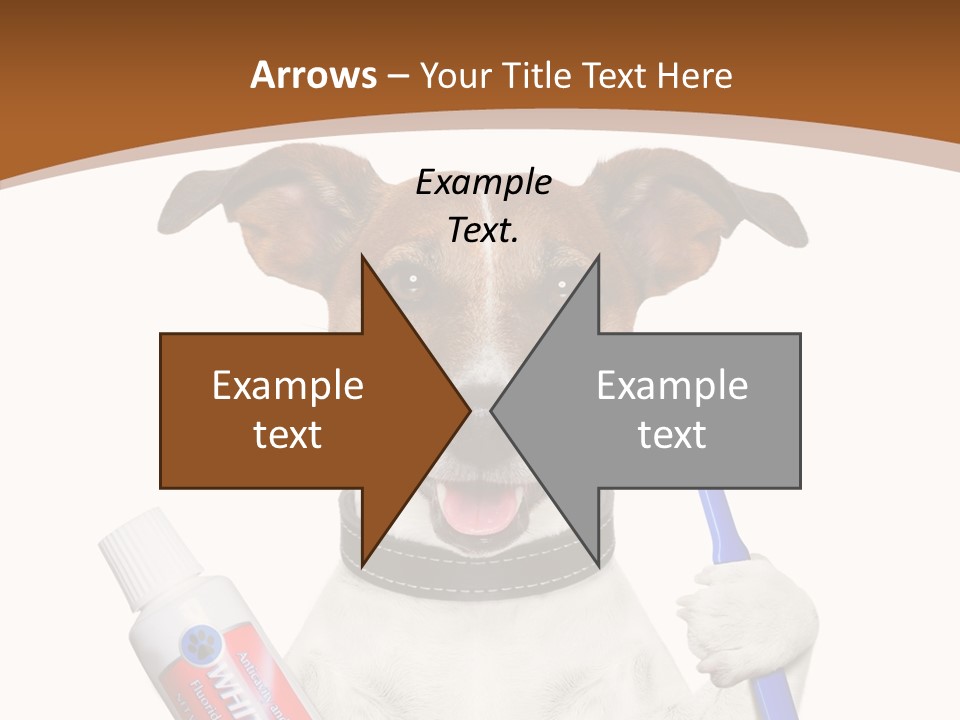 Gel Bleach Funny PowerPoint Template