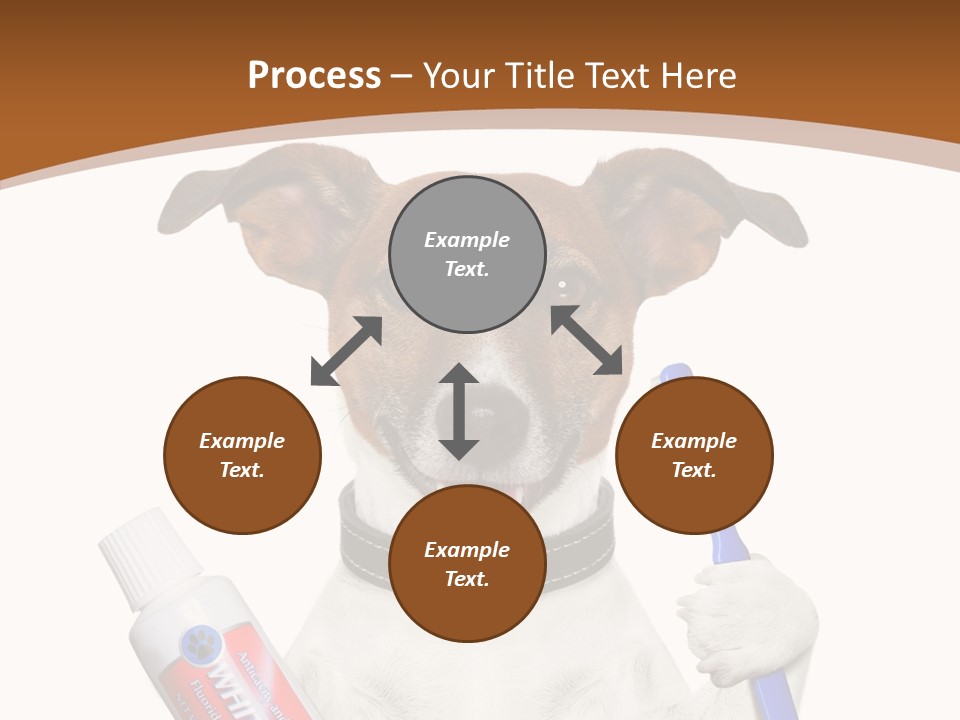 Gel Bleach Funny PowerPoint Template