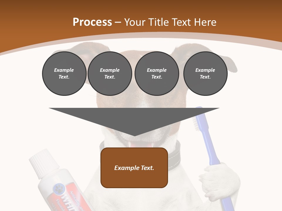 Gel Bleach Funny PowerPoint Template