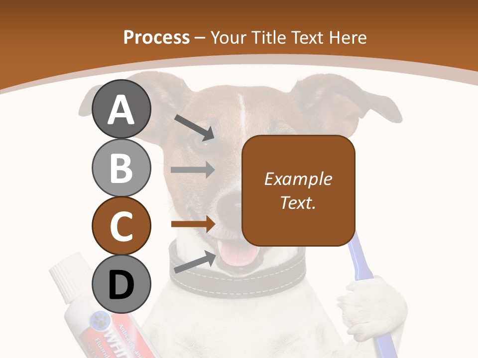 Gel Bleach Funny PowerPoint Template