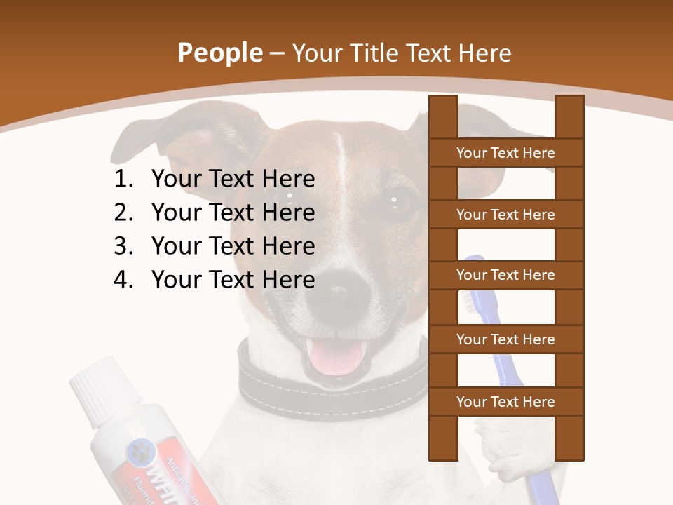 Gel Bleach Funny PowerPoint Template
