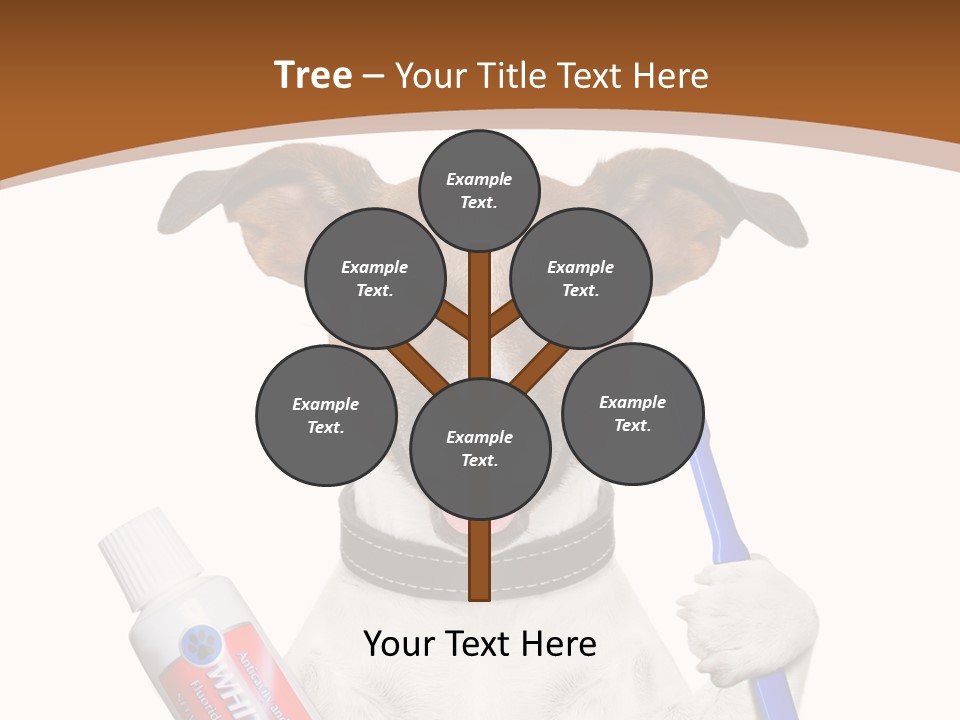 Gel Bleach Funny PowerPoint Template