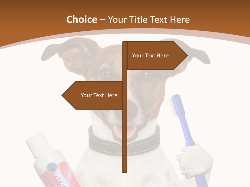 Gel Bleach Funny PowerPoint Template