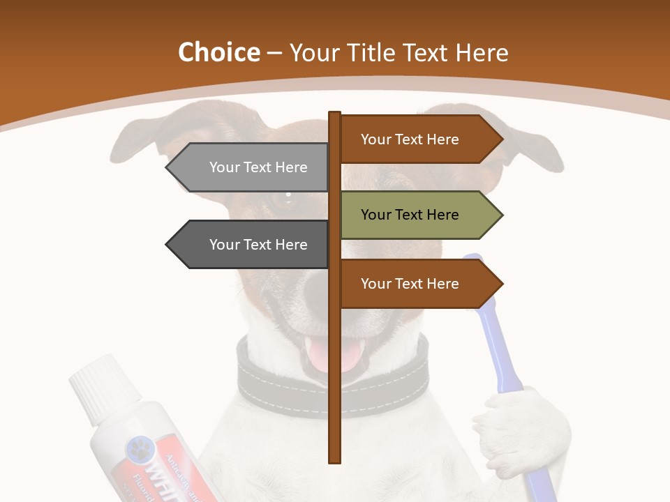 Gel Bleach Funny PowerPoint Template