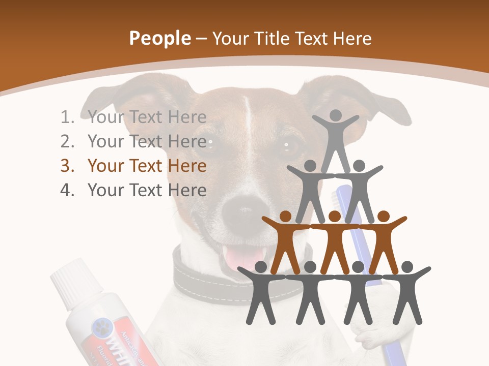 Gel Bleach Funny PowerPoint Template