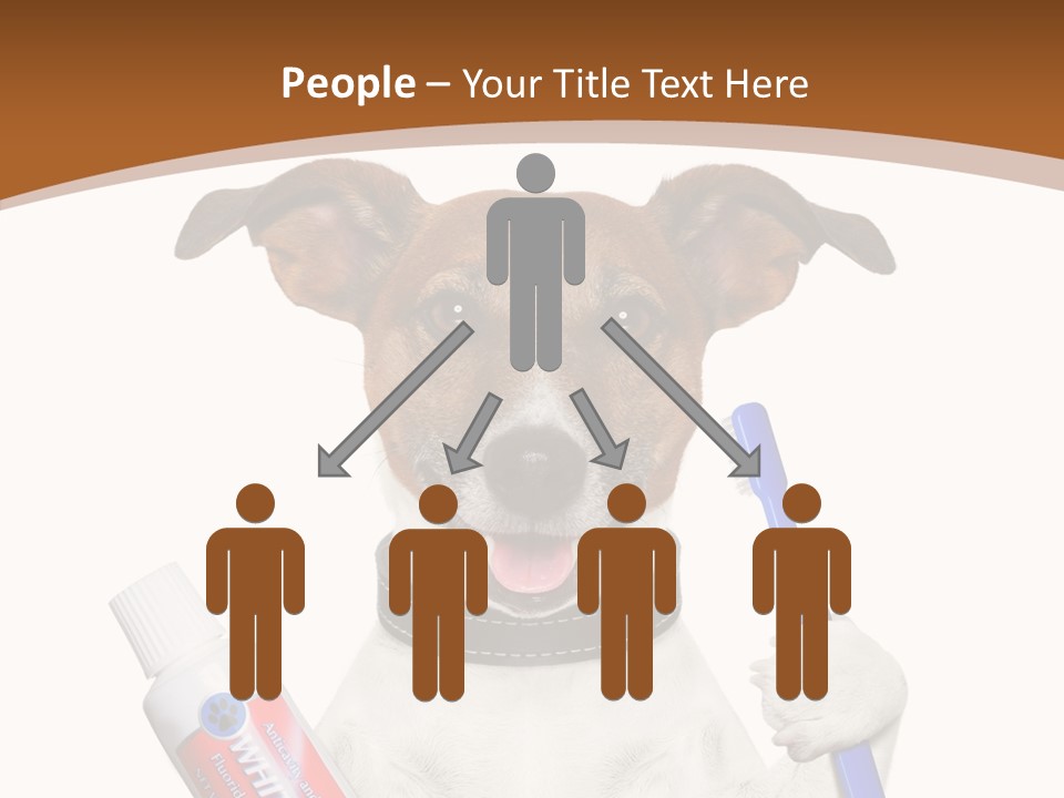 Gel Bleach Funny PowerPoint Template